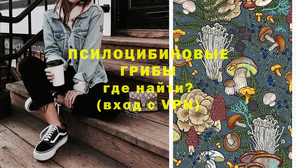 спиды Алзамай