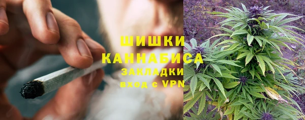 спиды Алзамай