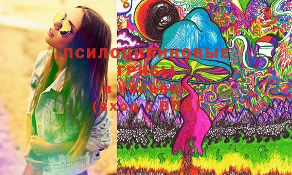 ГАЛЛЮЦИНОГЕННЫЕ ГРИБЫ Алексин
