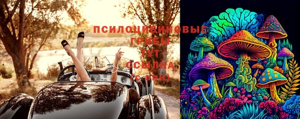 спиды Алзамай