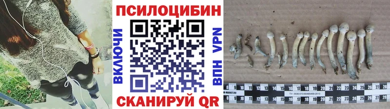 даркнет сайт  MEGA как войти  Галлюциногенные грибы Psilocybine cubensis  Черноголовка 